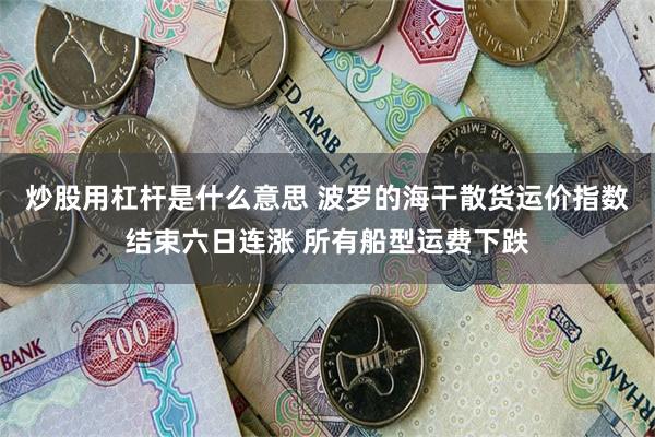 炒股用杠杆是什么意思 波罗的海干散货运价指数结束六日连涨 所有船型运费下跌