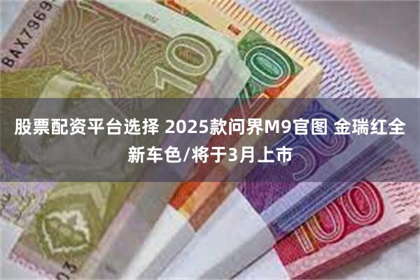 股票配资平台选择 2025款问界M9官图 金瑞红全新车色/将于3月上市