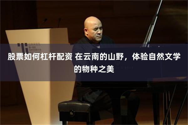 股票如何杠杆配资 在云南的山野，体验自然文学的物种之美