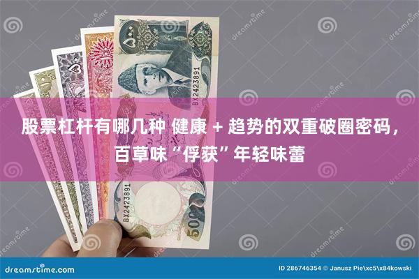 股票杠杆有哪几种 健康 + 趋势的双重破圈密码，百草味“俘获”年轻味蕾