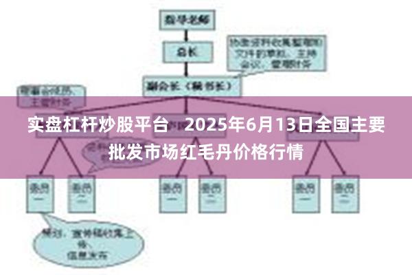 实盘杠杆炒股平台   2025年6月13日全国主要批发市场红毛丹价格行情