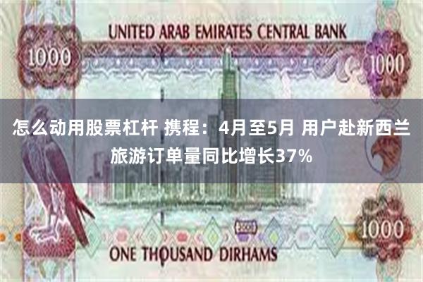 怎么动用股票杠杆 携程：4月至5月 用户赴新西兰旅游订单量同比增长37%