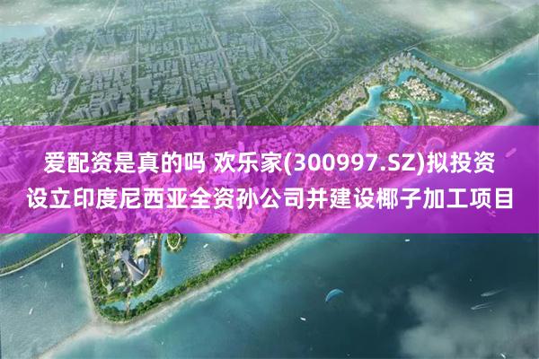 爱配资是真的吗 欢乐家(300997.SZ)拟投资设立印度尼西亚全资孙公司并建设椰子加工项目