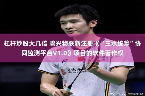 杠杆炒股大几倍 碧兴物联新注册《“三水统筹”协同监测平台V1.0》项目的软件著作权