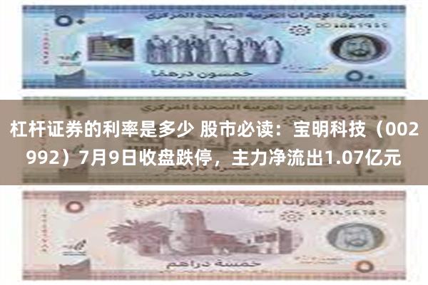 杠杆证券的利率是多少 股市必读：宝明科技（002992）7月9日收盘跌停，主力净流出1.07亿元