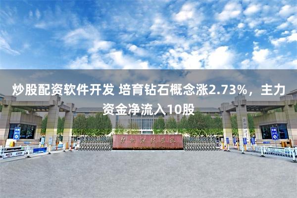 炒股配资软件开发 培育钻石概念涨2.73%，主力资金净流入10股