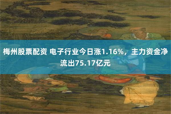 梅州股票配资 电子行业今日涨1.16%，主力资金净流出75.17亿元
