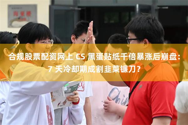 合规股票配资网上 CS 黑蛋贴纸千倍暴涨后崩盘：7 天冷却期成割韭菜镰刀？
